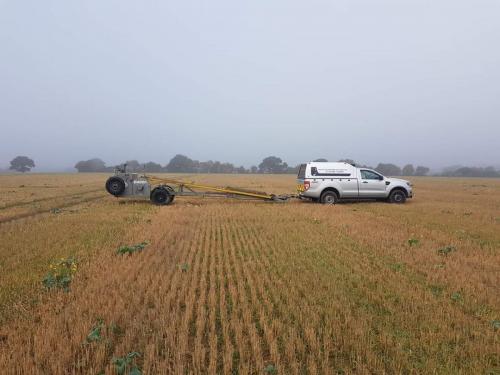 FB_IMG_1546617617067